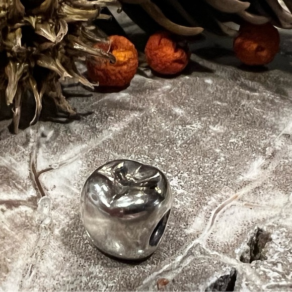 NWT Authentic Chamilia- Apple Charm in 925 Sterling Silver Fruit Food Bead - Picture 5 of 5